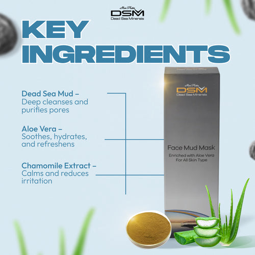 Facial Mud Mask with Aloe Vera hover image